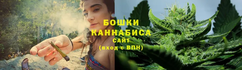 Каннабис SATIVA & INDICA  купить  цена  Елизово 